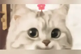 电脑开机用户名不会改？进来找个小板凳做好，上课啦视频封面