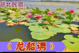 著名歌唱家演唱的《龙船调》，歌声悠扬欢快，经典旋律难忘记视频封面