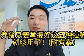 猪场只要掌握这五种拉稀就够用了！(附方案)拉稀一定要找到原因！视频封面