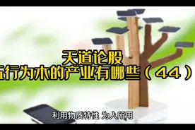 天道论股：五行为木的产业有哪些？（44）视频封面