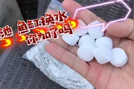 鱼缸、鱼池每次换水必加的一样东西，可以杀菌和预防鱼病发生视频封面