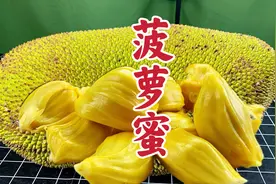 选菠萝蜜，看6点，个个准，皮薄肉多香甜，这2种食物切记不可同食