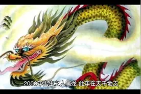 2000十二生肖之龙凤呈祥视频封面