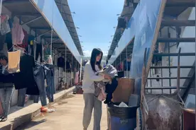 姐妹情破裂，小凤不再念旧情把秀秀衣服扔垃圾桶，从此一刀两断视频封面
