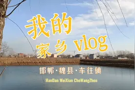 我的家乡|河北省邯郸市魏县车往镇郝东村#望水源#魏县水网视频封面