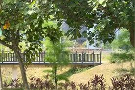 据深圳卫健委最新消息，4月22日深圳新增本土1例无症状感染者视频封面