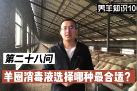 羊圈消毒液用哪种最好?羊舍的消毒方法有哪些？羊圈消毒方案视频封面