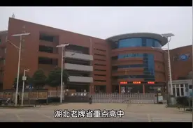 湖北重点高中600分以上人数视频封面