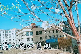 四月是踏青的好时节，快出来啦，好运快件已到，请签收视频封面