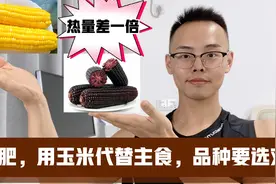 中老年人减肥，玉米可以代替主食，吃甜玉米掉肉更快，我瘦了70斤视频封面