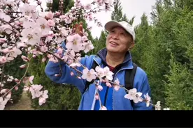 滹沱河梅园视频封面