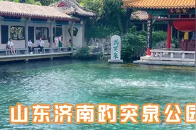 济南市趵突泉被称为天下第一泉，吸引全国各地游客前来观光视频封面