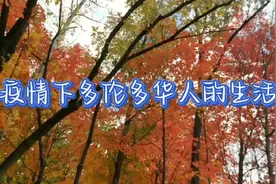 来看看疫情下多伦多华人如何逃避现实生活的，他们真的躺平了吗？视频封面