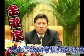中国政企合作基金原董事长周成跃被查，打虎成果再添“金融虎”。视频封面