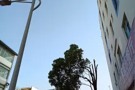 云南：将军镇出了多少位将军？让我们走进曲靖将军镇一睹将军风采视频封面
