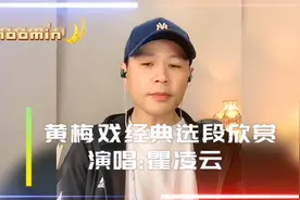 黄梅戏经典选段欣赏(演唱:国家二级演员瞿凌云/黄梅名家吴琼搭档)视频封面