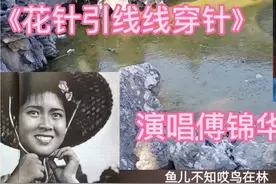 黄婉秋主演电影《刘三姐》中，这段想念阿牛哥的唱段，太委婉动听视频封面