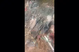 常州市新北区西夏墅梅林村孔家到西夏里的路上两面沟圹视频封面