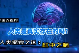 这个世界是虚拟的吗？人类是否真实存在？