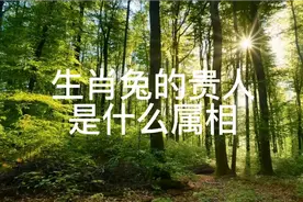 生肖兔的贵人是什么属相视频封面