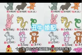 十二生肖丑牛婚配视频封面