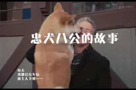 真实故事改编！忠犬苦等逝去主人9年，直到生命的最后一刻～视频封面