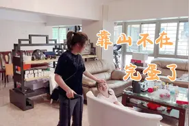 跟阿娇出发南平，女儿舍不得青妹妹，这下好了被修理没地方告状了视频封面
