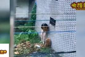 盘点女生10大奇葩丢人场面视频封面