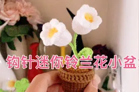 钩针铃兰花迷你小盆栽视频教程，春日mini小花花盆栽完整版视频封面