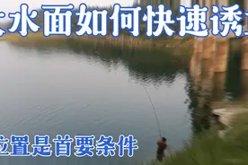 老黄给大家分享一下，大水面如何快速诱鱼进窝的经验。选位最关键视频封面