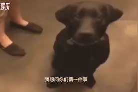 瞅你那揍性