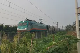 韶山九0001号机车牵引京沪神车1462次列车（上海—北京）进沧州站视频封面