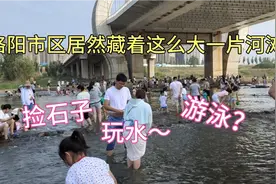 洛阳市区竟然藏着这么大一片河滩，玩水、捡石子，可以玩上一整天