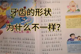 牙齿的形状为什么不一样？来带大家了解门牙、犬牙、磨牙各自分工视频封面