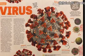 VIRUS病毒视频封面