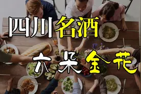 四川名酒中的六朵金花，历史悠久回味绵长，值得了解留言转发视频封面