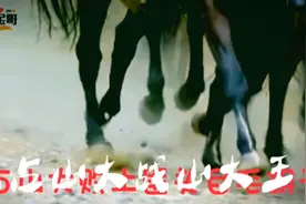 马🐴占山大战山大王视频封面