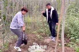 1500买的兔子狗，到家半个月不吃不喝就走了，挖个坑送它最后一程视频封面