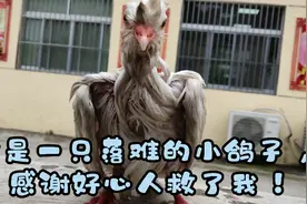 爱心是美的化身 ，因为有她的存在，世界才会变得更加美丽 ！视频封面