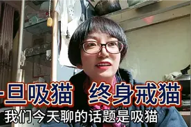 吸猫上瘾，一旦吸猫终生戒猫。为什么吸猫会上瘾呢？ 有什么危害视频封面