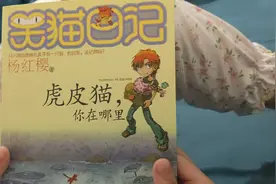 笑猫日记虎皮猫你在哪里视频封面