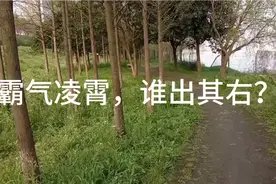 文韬武略，纵横捭阖；磅礴豪迈，旷古绝今！视频封面