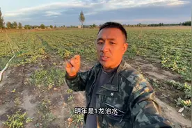 今年是八龙治水，明年是1龙治水，喜欢种地的你准备好了吗视频封面