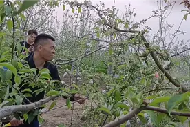 唐老师打药 讲解什么时候打药最好视频封面
