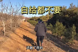 朋友说给我个大惊喜，到那一看小伙直接跑了，这是为啥视频封面