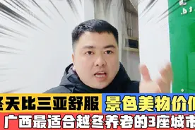 广西最适合过冬养老的3个城市，冬天比三亚舒服，景美安逸物价低视频封面