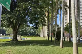 冬天我在海南儋州，这里房价不贵，气候温暖，生活成本低。视频封面