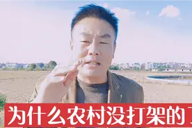 安徽阜阳：在农村为什么打架的越来越少了，什么原因视频封面