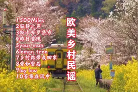 风靡全球的十首经典欧美乡村民谣 天籁之音 温暖人心 太治愈了视频封面