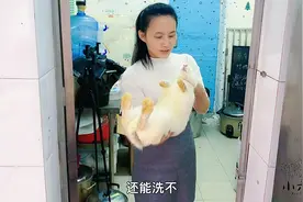 昨天买的家兔脏了，我想给它洗个澡，没想到又白忙碌一场视频封面